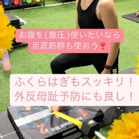 画像245