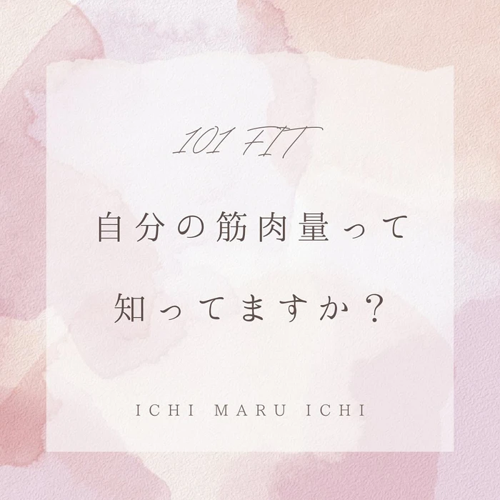 画像247