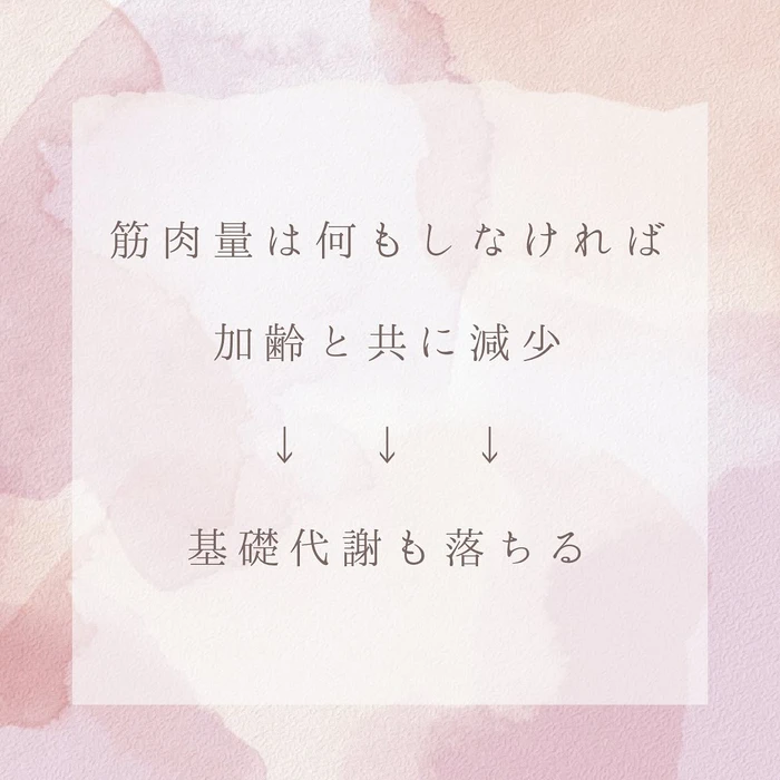画像248